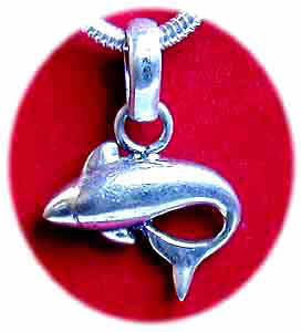 Delfin Anhnger Silber